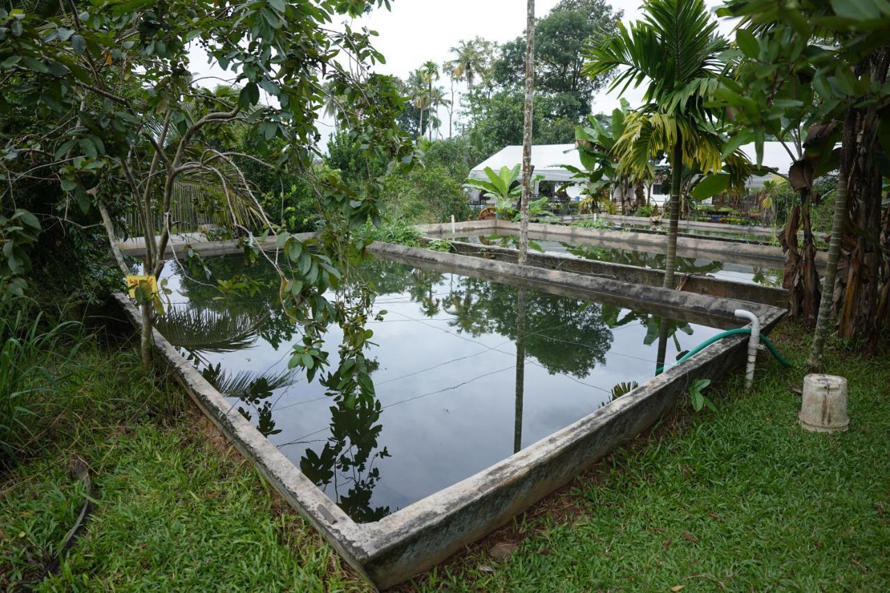 Carmel Tourism Village Kotamangalam Exterior photo