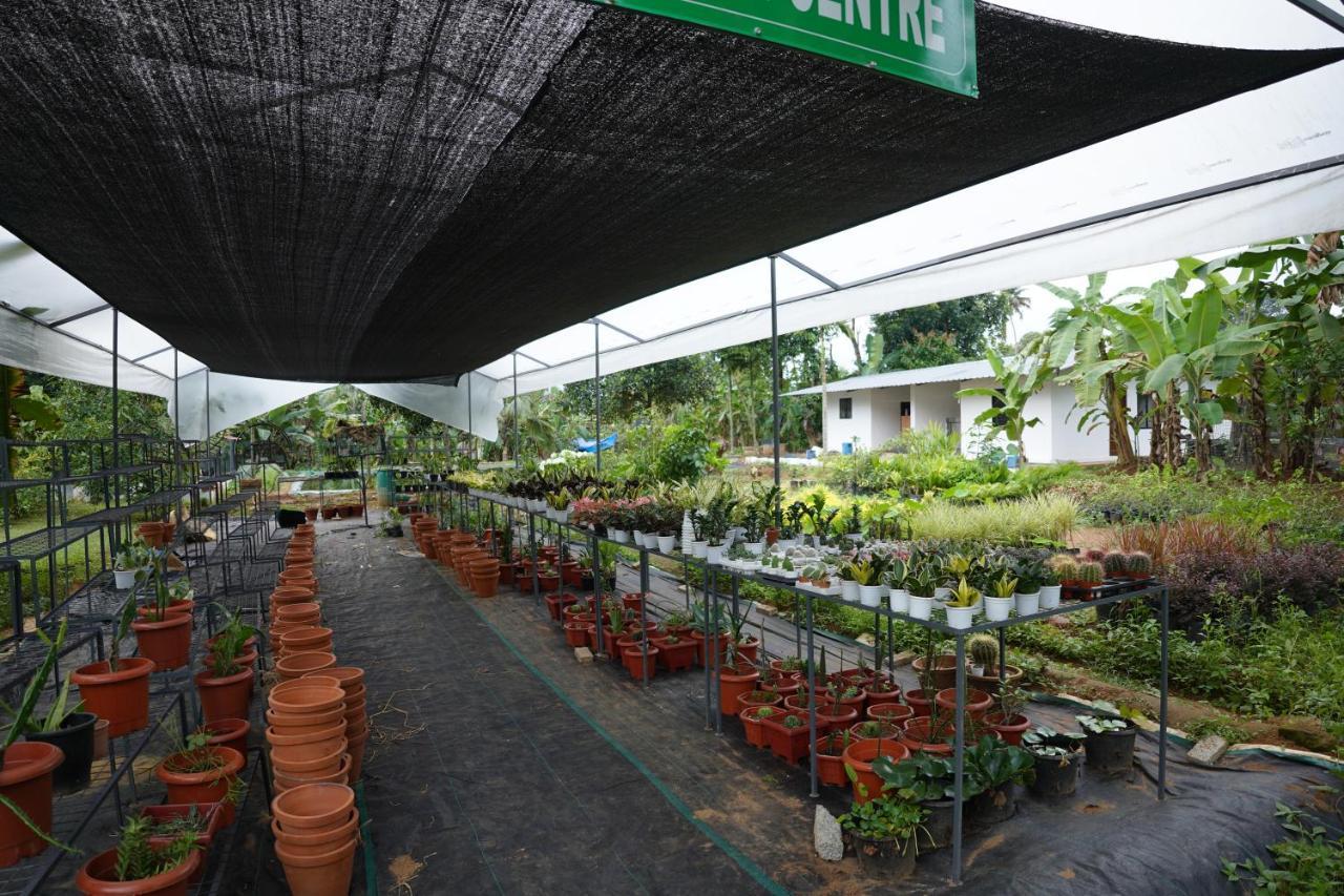 Carmel Tourism Village Kotamangalam Exterior photo